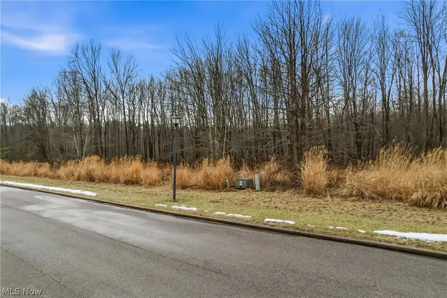 Lakeview Drive, Hubbard, OH 44425 - #3