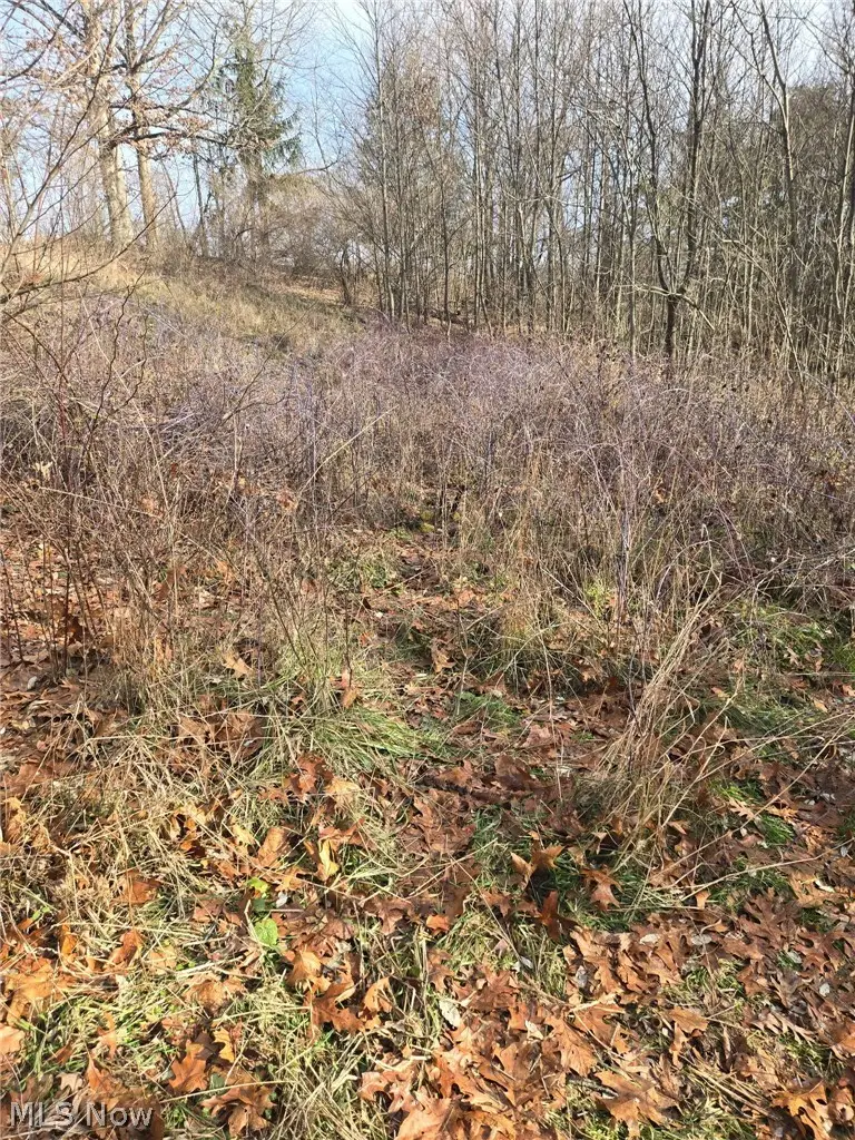 9284 Briar Road, Magnolia, OH 44643 - #2