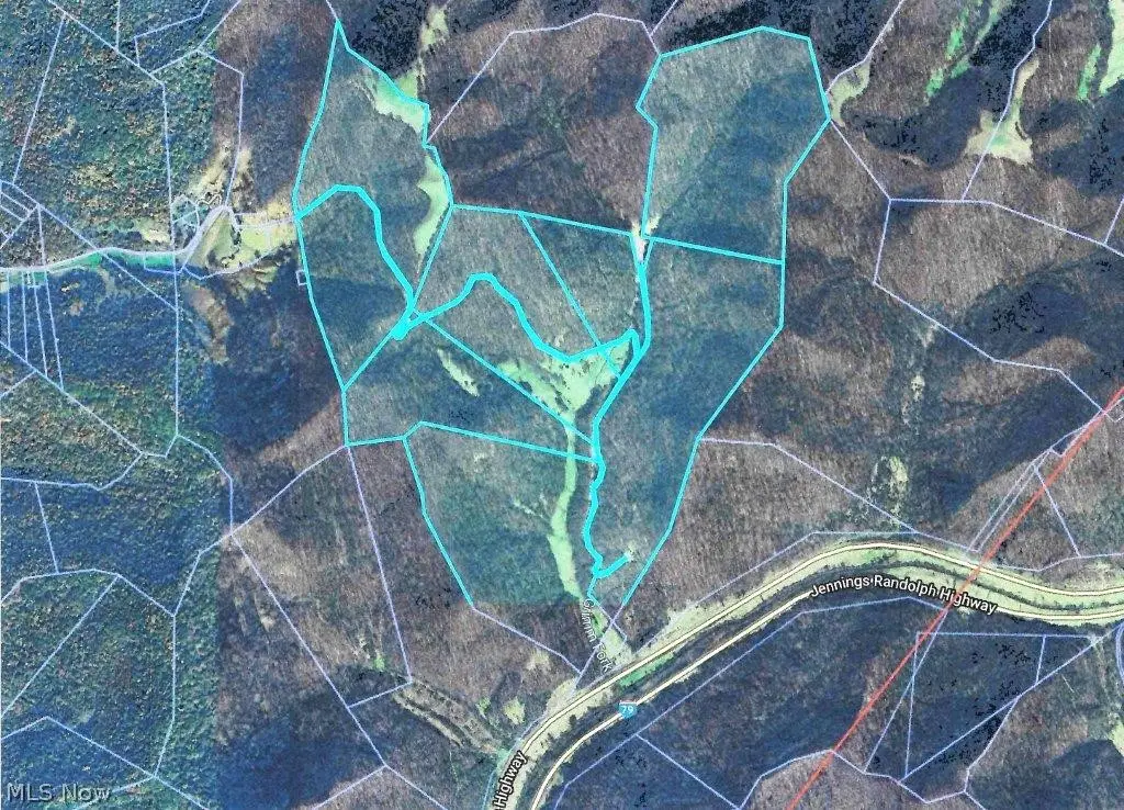 Blown Timber, Newton, WV 25266 - #1