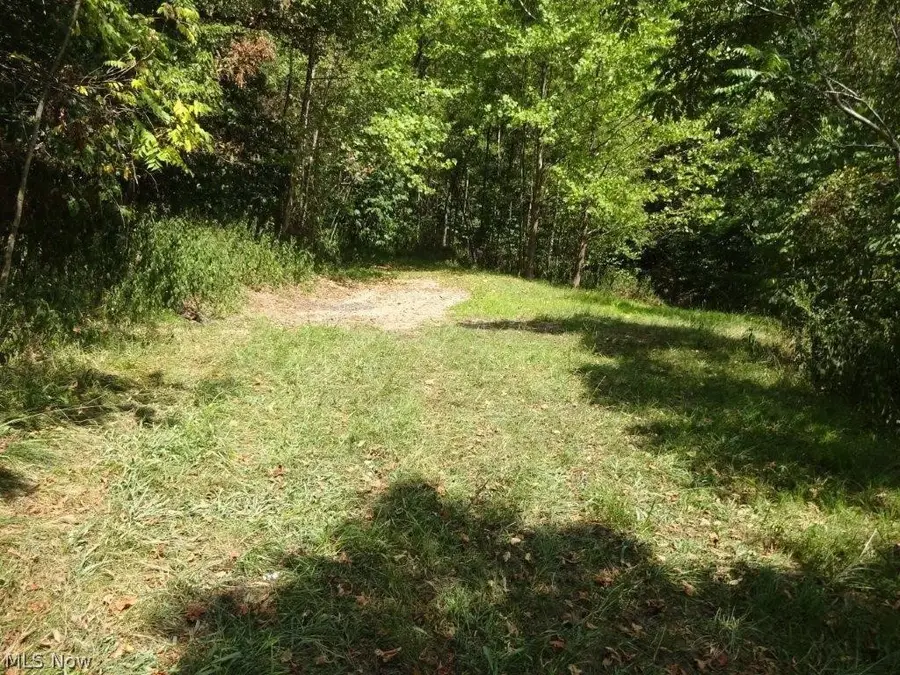 Blown Timber, Newton, WV 25266 - #3