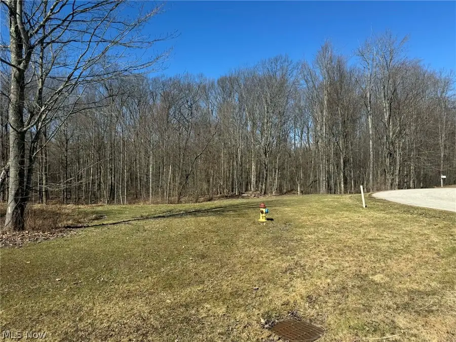 Buttonwood Lane, Ashtabula, OH 44004 - #3