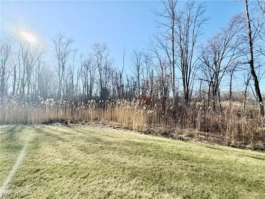 153 Raintree Lane, Painesville, OH 44077 - #3