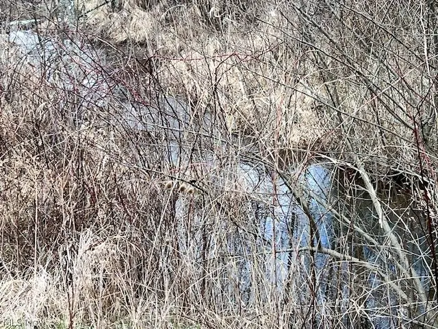 0 Johnson Bethel Road, Barnesville, OH 43713 - #3