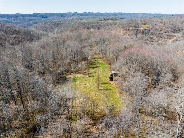 Sheepskin Ridge Road, Lower Salem, OH 45745