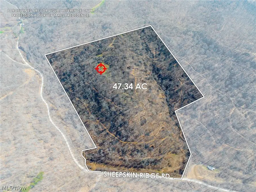 Sheepskin Ridge Road, Lower Salem, OH 45745 - #2