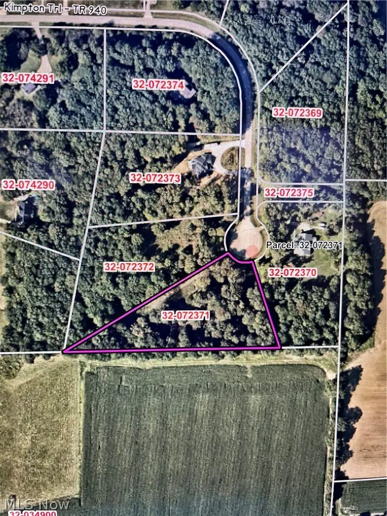 14065 Kimpton Trail, Hiram, OH 44234 - #2