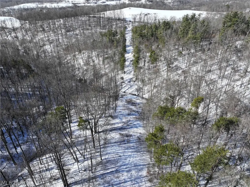 0 Tract 3 Bondi Ridge Road, Woodsfield, OH 43793 - #1