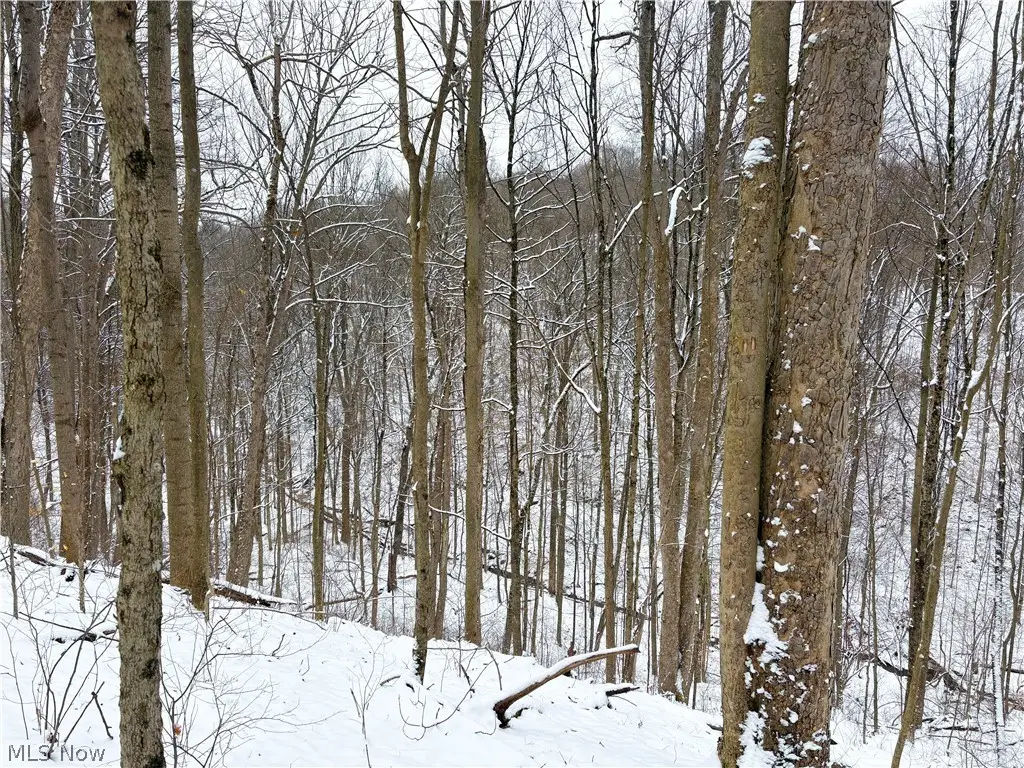 0 Tract 2 Morrs Ridge Road, Woodsfield, OH 43793 - #1