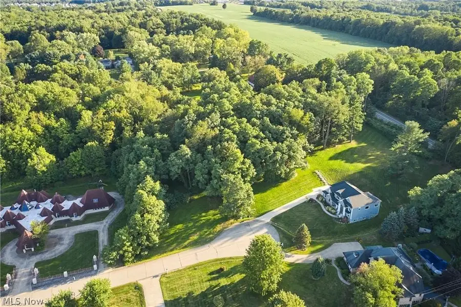 4872 Autumn Leaves Drive, Akron, OH 44333 - #3