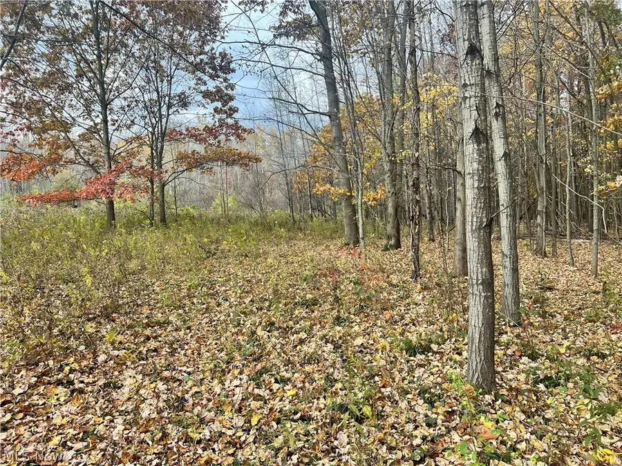 Marrian Road, Dorset, OH 44032 - #3