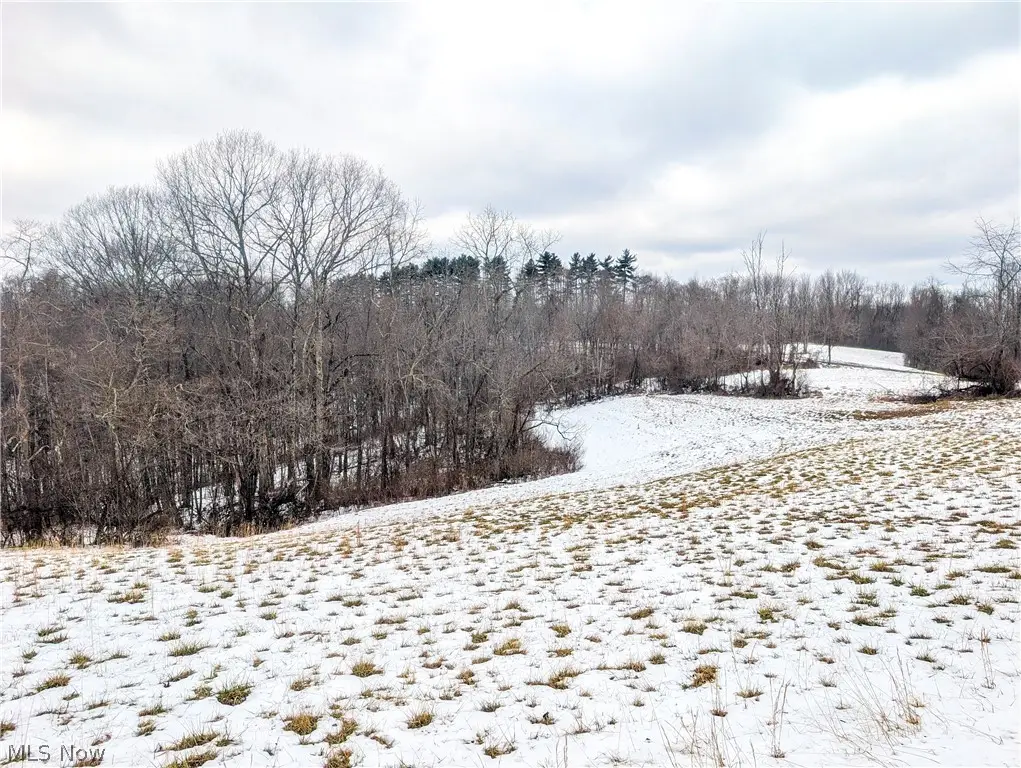 0 Tract 12 Tr 233, Summerfield, OH 43788 - #1