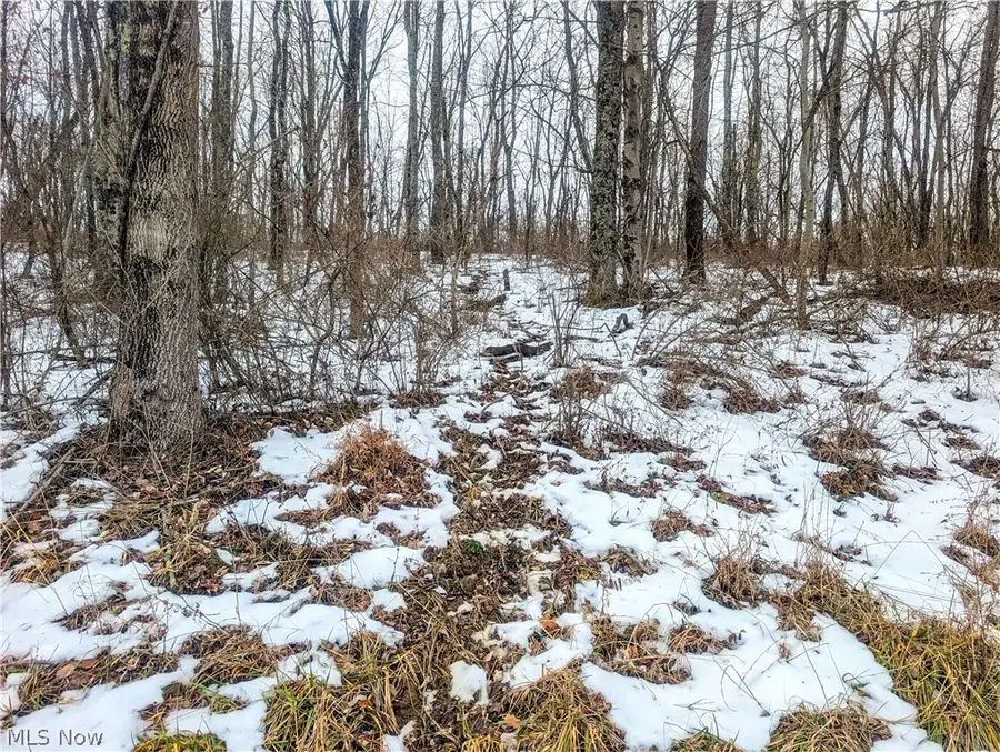 0 Tract 12 Tr 233, Summerfield, OH 43788 - #2