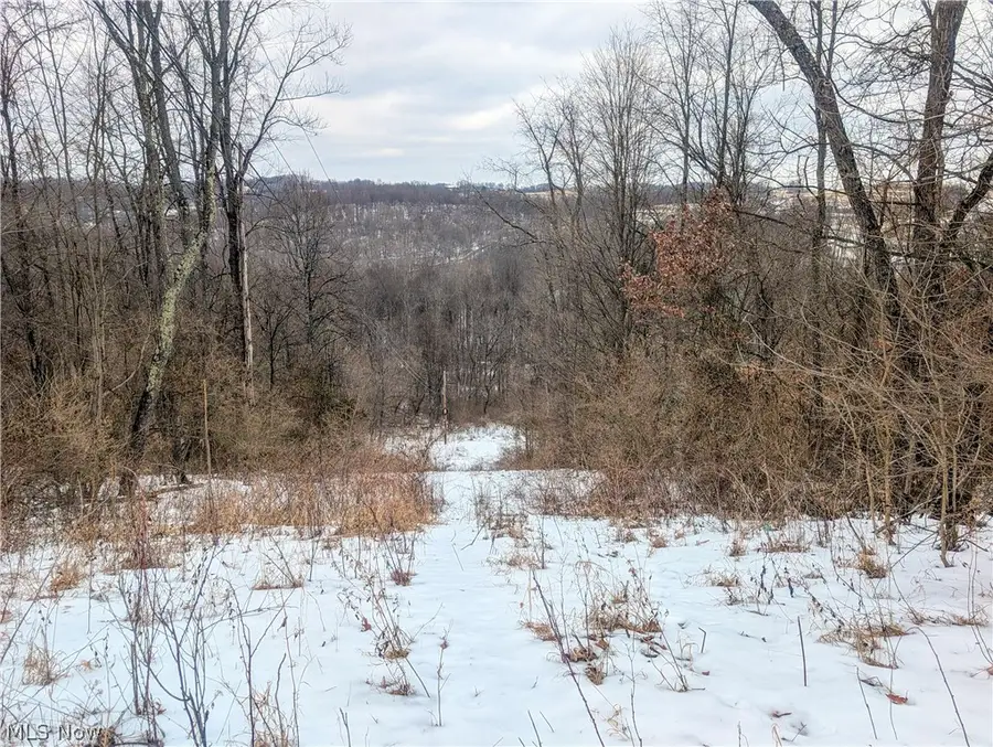 0 Tract 12 Tr 233, Summerfield, OH 43788 - #3