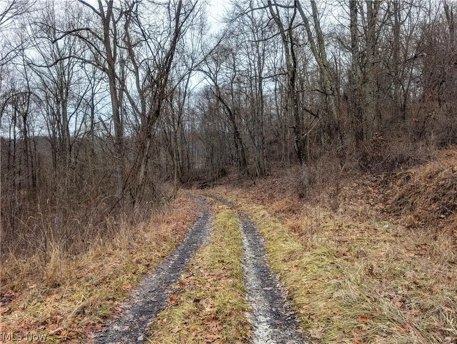 0 Tract 8 Barber Ridge Road, Lewisville, OH 43754 - #3