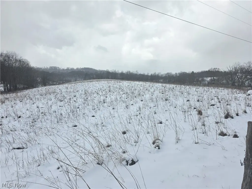 20230 Dare Lane, Freeport, OH 43973 - #1