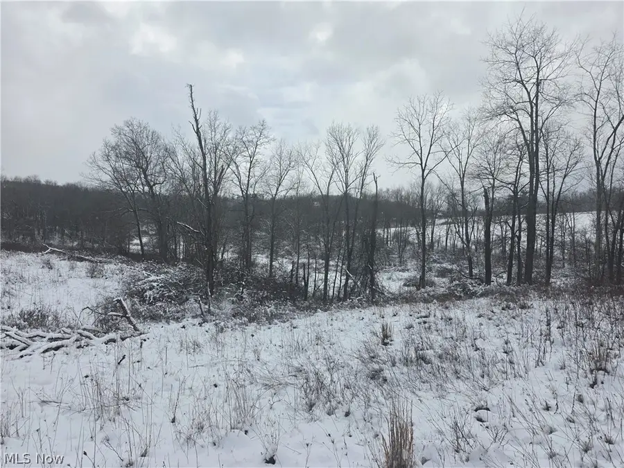 20230 Dare Lane, Freeport, OH 43973 - #3