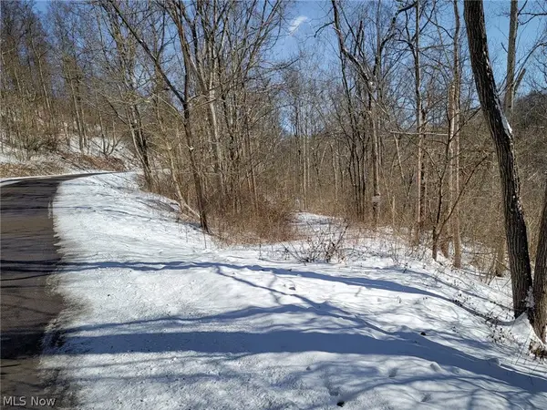 0 Tract 11 Miltonsburg-calais Road, Woodsfield, OH 43793