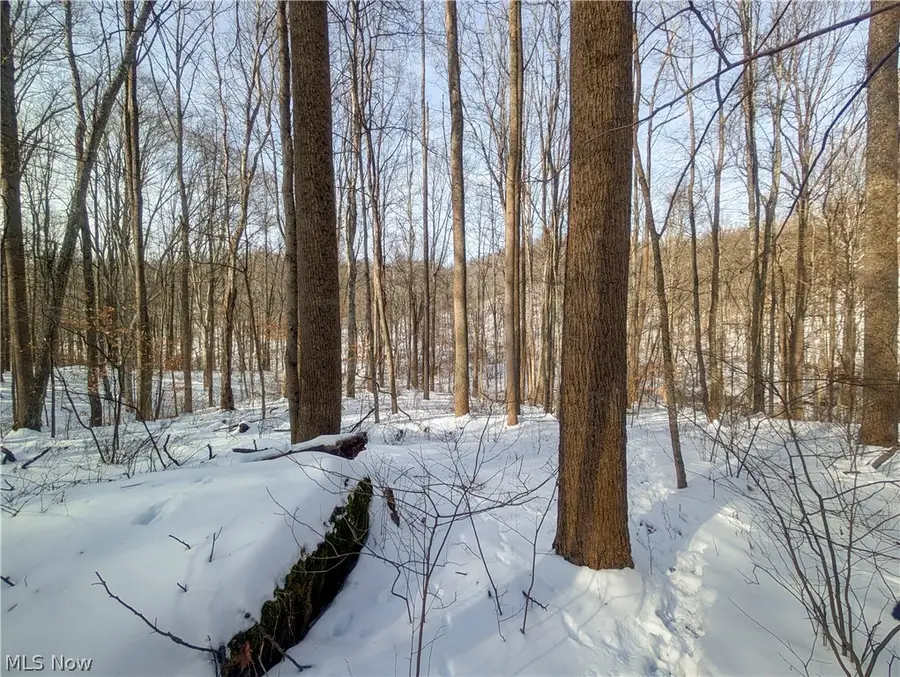 0 Tract 11 Miltonsburg-calais Road, Woodsfield, OH 43793 - #2