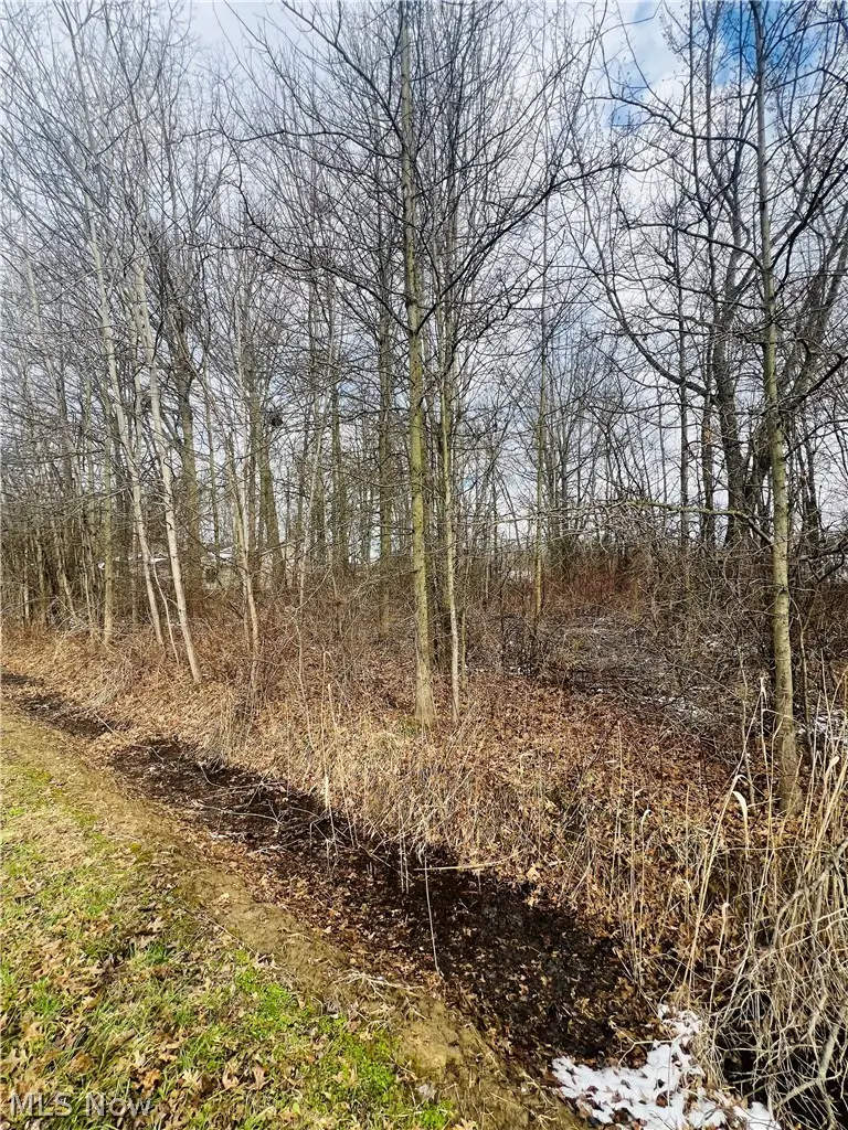 Lot 115 Breezewood Lane, Orwell, OH 44076 - #1