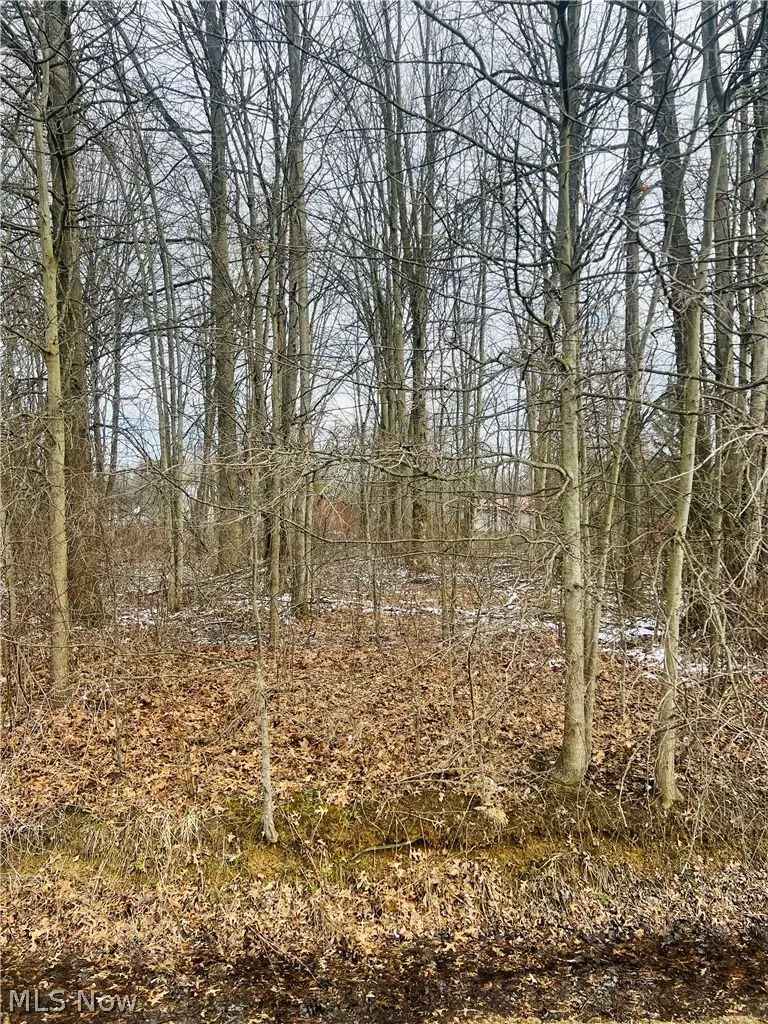 Lot 113 Breezewood Lane, Orwell, OH 44076 - #2