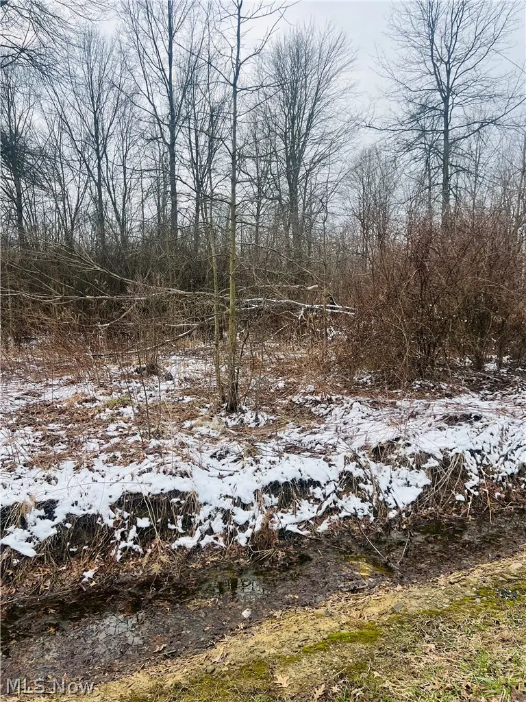 Lot 134 Breezewood Lane, Orwell, OH 44076 - #2