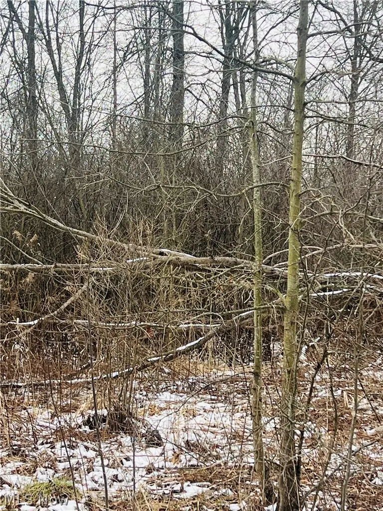 Lot 134 Breezewood Lane, Orwell, OH 44076 - #3