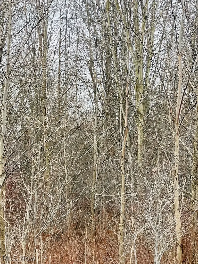 00 Us-322, Orwell, OH 44076 - #2