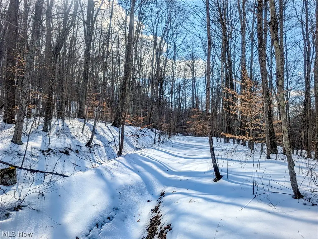 0 Tract 15 Peaker Run, Salem, OH 45745 - #1