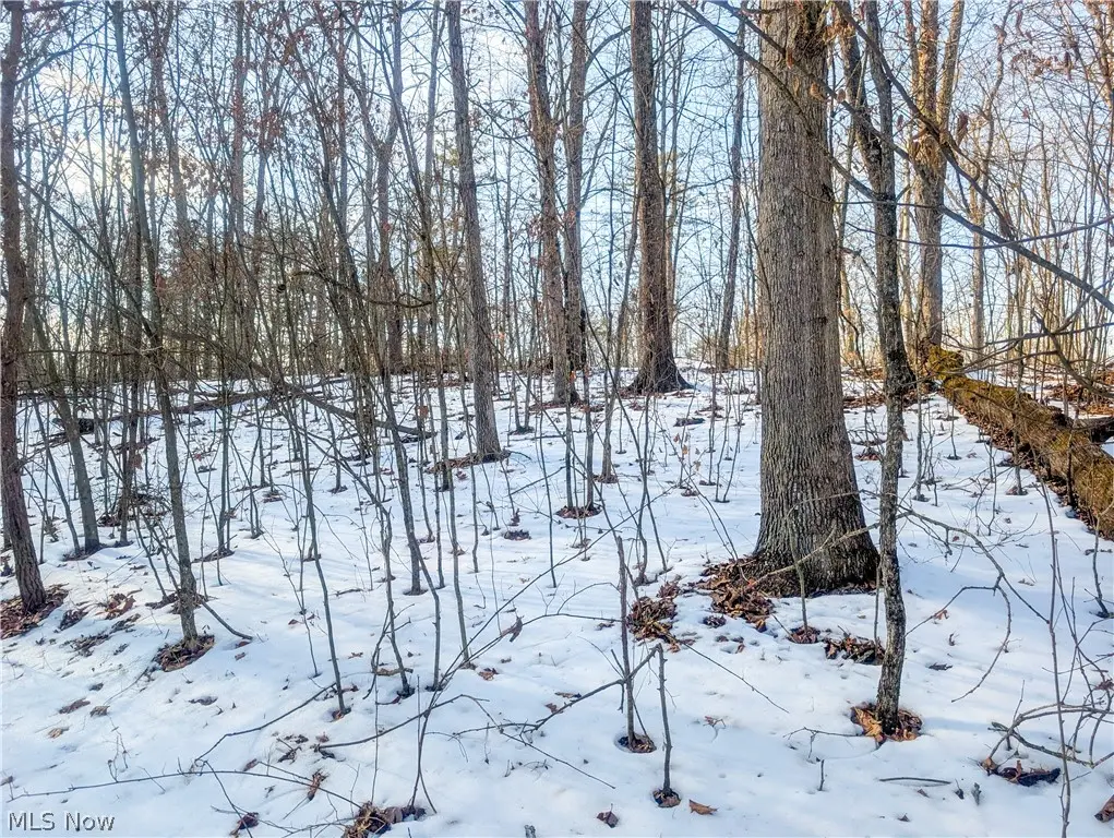 0 Tract 16 Ch 59, Cutler, OH 45724 - #1