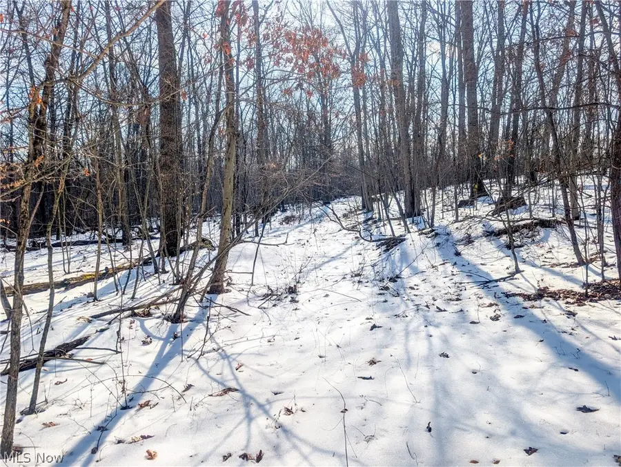 0 Tract 16 Ch 59, Cutler, OH 45724 - #2