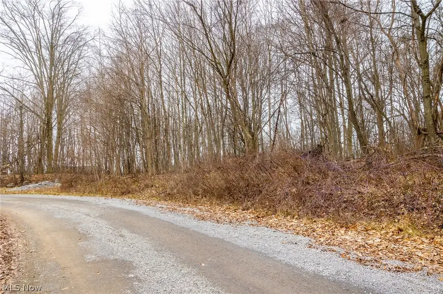 Pigeon Run Sw Avenue, Navarre, OH 44662 - #3