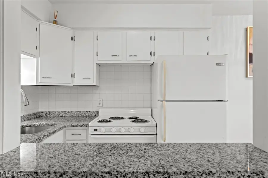 12520 Edgewater Drive #1504, Lakewood, OH 44107 - #2