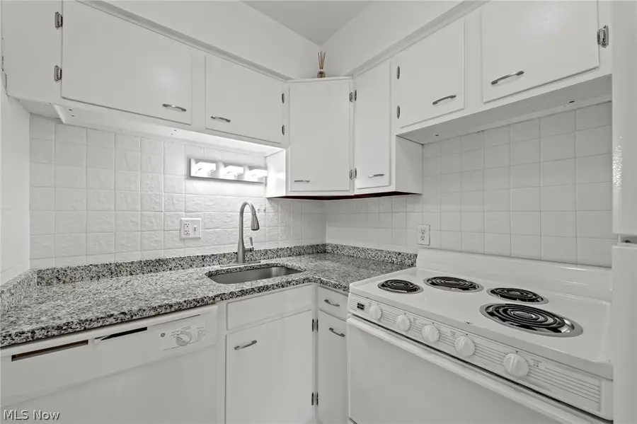 12520 Edgewater Drive #1504, Lakewood, OH 44107 - #3