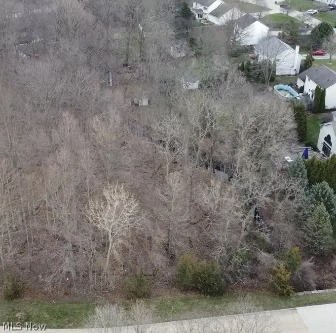 V/L 284 Stony Brook Lane, Wakeman, OH 44889 - #2