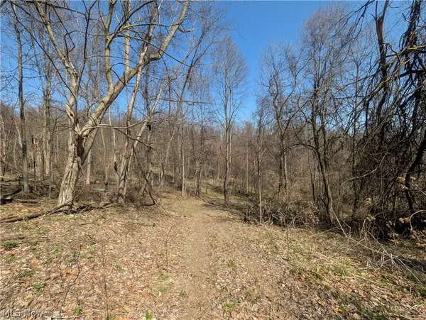 Township Road 289, Hammondsville, OH 43945