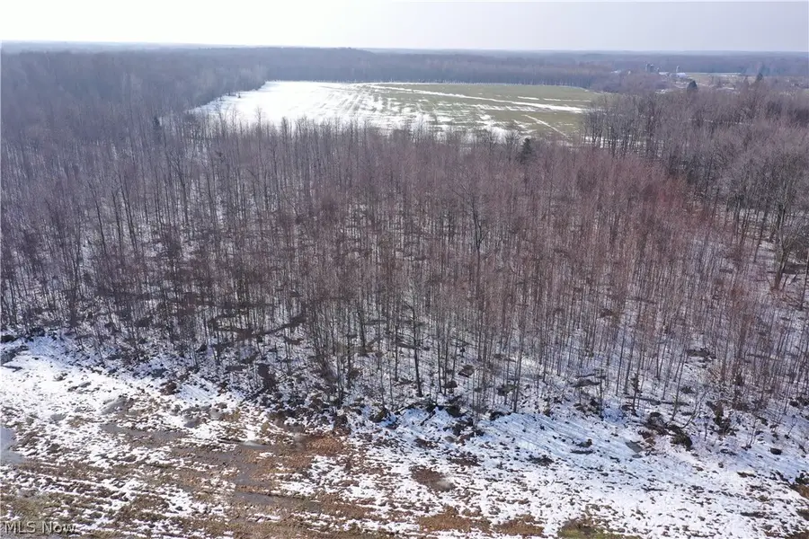 Adams Road, Kingsville, OH 44048 - #3