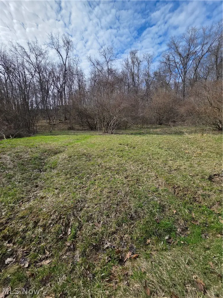 Iroquois Trail, Senecaville, OH 43780 - #2