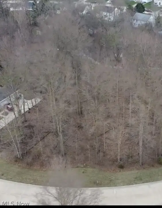 V/L 283 Stony Brook Lane, Wakeman, OH 44889 - #2