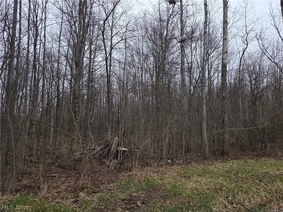 Plank Road, Orwell, OH 44076 - #2