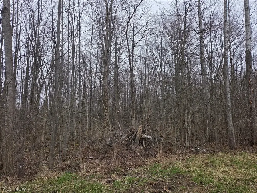 Plank Road, Orwell, OH 44076 - #3