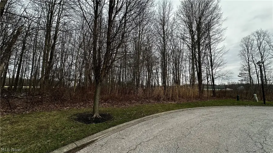 Vl Rutledge Avenue, Saybrook, OH 44041 - #2