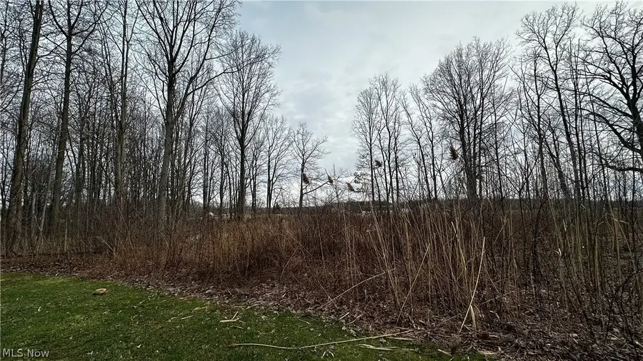 Vl Rutledge Avenue, Saybrook, OH 44041 - #3