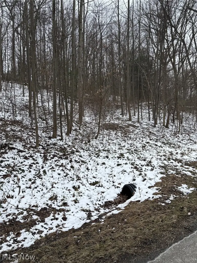 Oh-93, Dundee, OH 44624 - #2