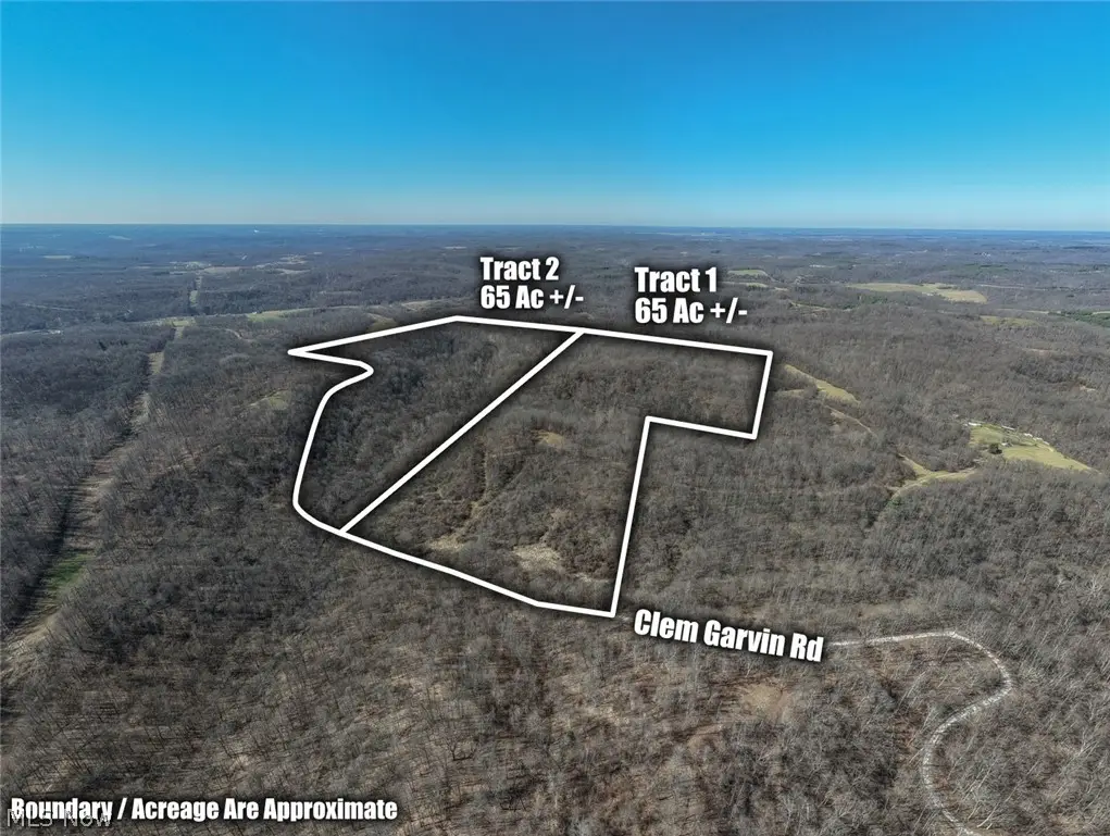 0 Clem Garvin Road, Caldwell, OH 43724 - #1