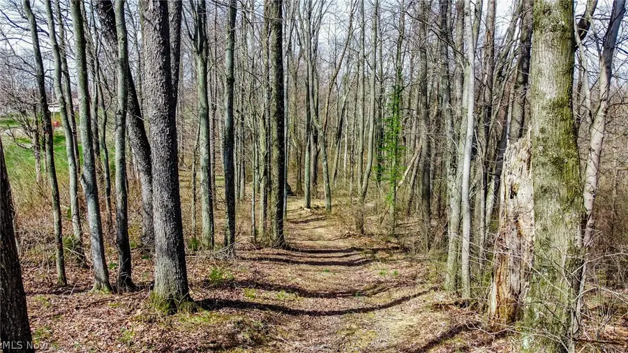 17805 Early Cemetary Road, Kimbolton, OH 43749 - #3