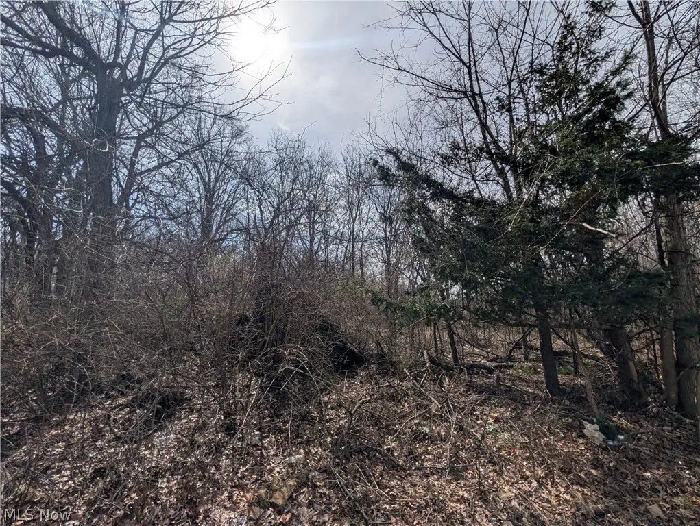 VL North Ridge Road, Lorain, OH 44053 - #1