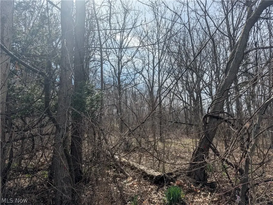 VL North Ridge Road, Lorain, OH 44053 - #3