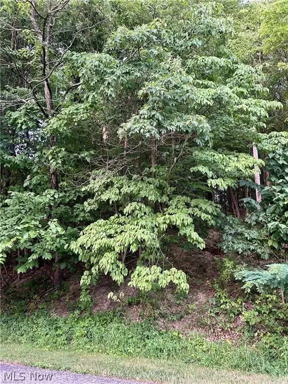 91 Oneida Trail, Malvern, OH 44644 - #2