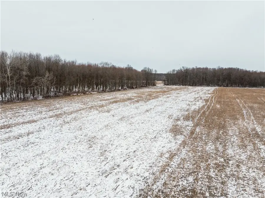 Slater Road, Williamsfield, OH 44093 - #3