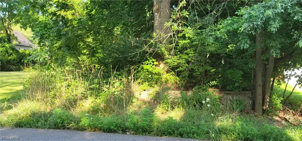 Garfield Street, Akron, OH 44310